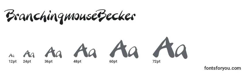 Размеры шрифта BranchingmouseBecker