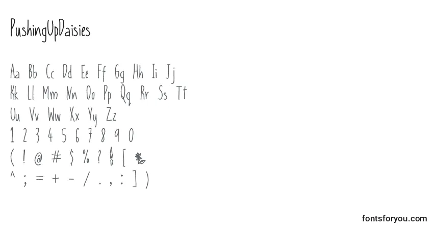 Czcionka PushingUpDaisies – alfabet, cyfry, specjalne znaki