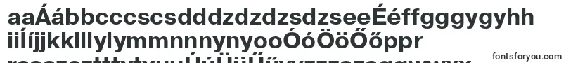 Шрифт PragmaticaBoldReg – венгерские шрифты
