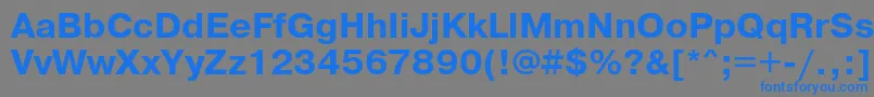 フォントPragmaticaBoldReg – 灰色の背景に青い文字