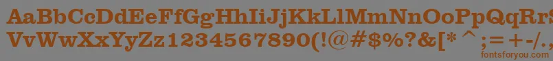 ClarendonHeavyBt Font – Brown Fonts on Gray Background