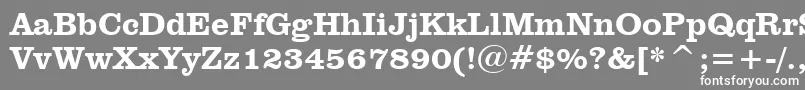 フォントClarendonHeavyBt – 灰色の背景に白い文字