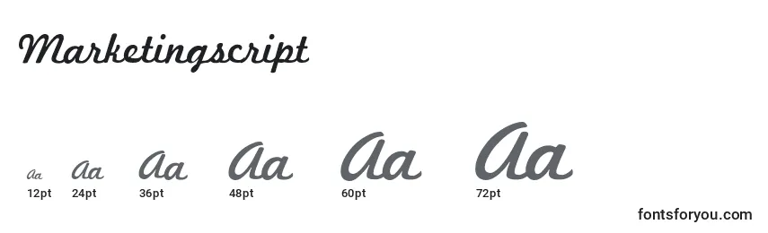 Marketingscript Font Sizes