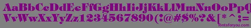 TiffanyHeavyBt Font – Purple Fonts on Gray Background
