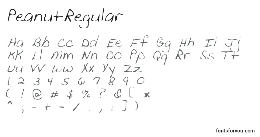 A fonte PeanutRegular – alfabeto, números, caracteres especiais