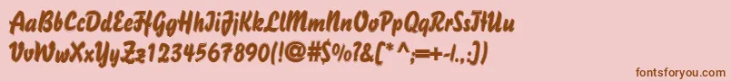 DsBisonOutline Font – Brown Fonts on Pink Background