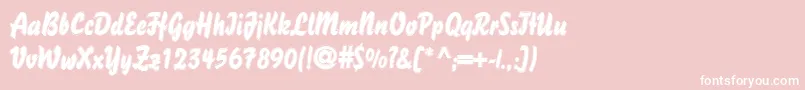 フォントDsBisonOutline – ピンクの背景に白い文字