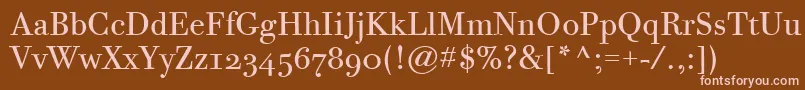 BodoniTwelveOsItcTtBook Font – Pink Fonts on Brown Background