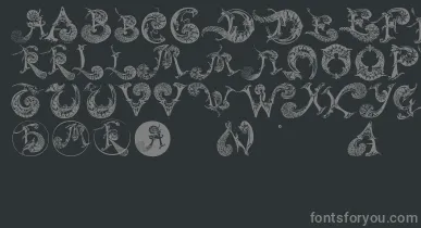Schnoerkelcaps font – Gray Fonts On Black Background