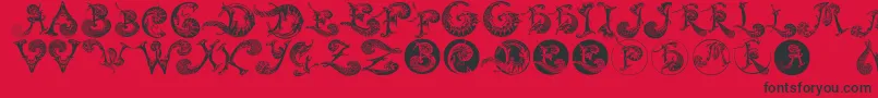 フォントSchnoerkelcaps – 赤い背景に黒い文字