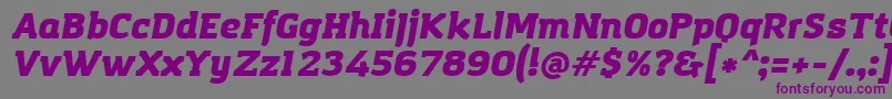 AmazingGroteskUltraItalic-fontti – violetit fontit harmaalla taustalla