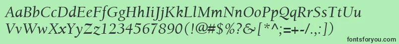 ItcBerkeleyOldstyleLtItalic Font – Black Fonts on Green Background