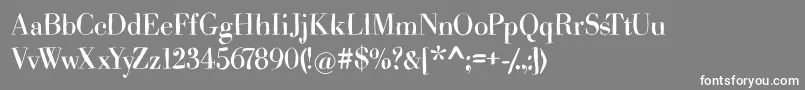 フォントHasbodoniscribbled – 灰色の背景に白い文字