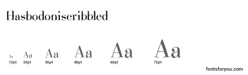 Размеры шрифта Hasbodoniscribbled