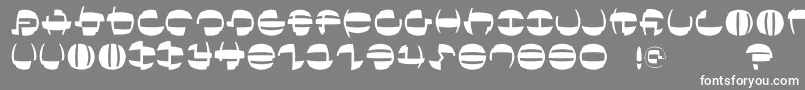 Tokyofrankfurtround Font – White Fonts on Gray Background