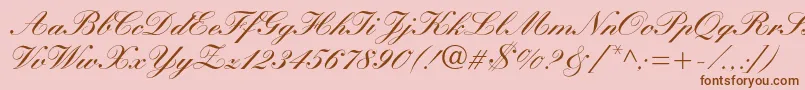 Manuscriptc Font – Brown Fonts on Pink Background