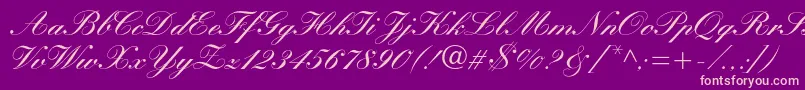 Manuscriptc Font – Pink Fonts on Purple Background