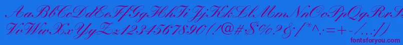 Manuscriptc Font – Purple Fonts on Blue Background
