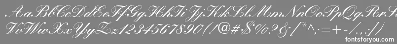 Manuscriptc Font – White Fonts on Gray Background