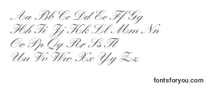 Manuscriptc Font