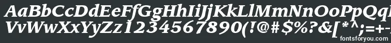 フォントAdvisorBlackSsiBlackItalic – 白い文字