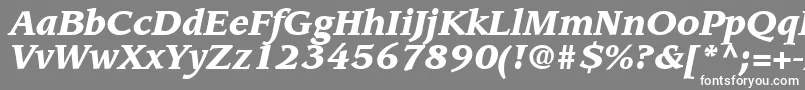 Czcionka AdvisorBlackSsiBlackItalic – białe czcionki na szarym tle