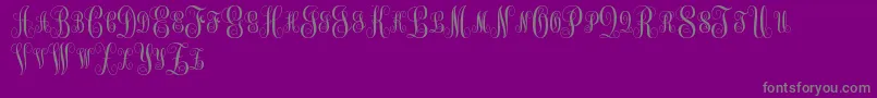 MonogramKkSc Font – Gray Fonts on Purple Background