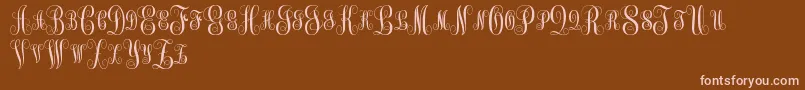 MonogramKkSc Font – Pink Fonts on Brown Background