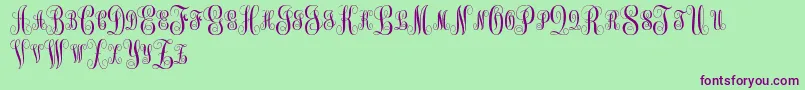 MonogramKkSc Font – Purple Fonts on Green Background