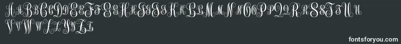 MonogramKkSc Font – White Fonts on Black Background