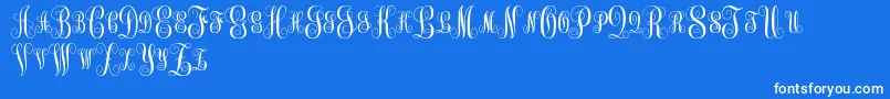 MonogramKkSc Font – White Fonts on Blue Background