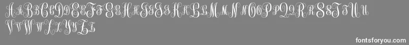 MonogramKkSc Font – White Fonts on Gray Background