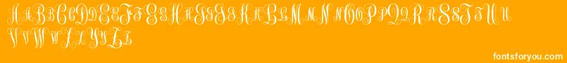 MonogramKkSc Font – White Fonts on Orange Background