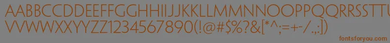 PenumbrasansstdLight Font – Brown Fonts on Gray Background