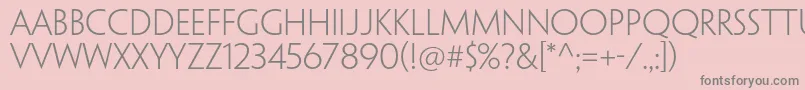 PenumbrasansstdLight Font – Gray Fonts on Pink Background