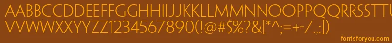 PenumbrasansstdLight Font – Orange Fonts on Brown Background