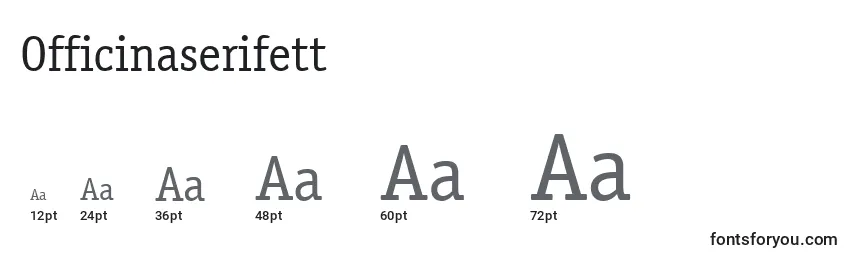 Officinaserifett Font Sizes