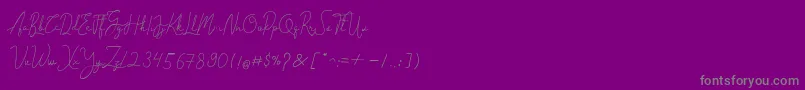 Cantilena-Schriftart – Graue Schriften auf violettem Hintergrund