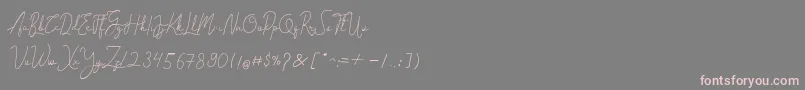 フォントCantilena – 灰色の背景にピンクのフォント