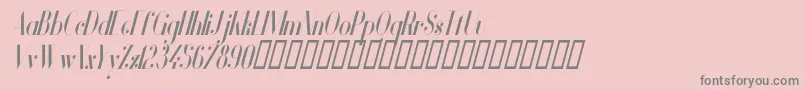 VanityBoldNarrowItalic Font – Gray Fonts on Pink Background