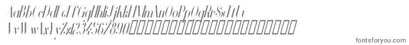 VanityBoldNarrowItalic Font – Gray Fonts