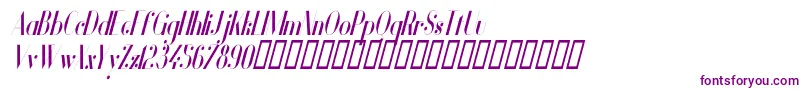 VanityBoldNarrowItalic Font – Purple Fonts