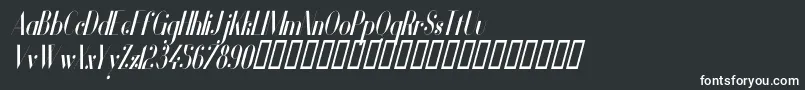 VanityBoldNarrowItalic Font – White Fonts on Black Background