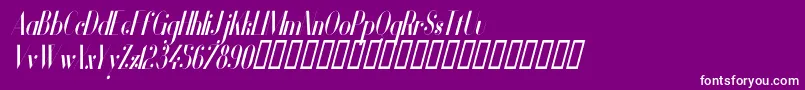 VanityBoldNarrowItalic Font – White Fonts on Purple Background