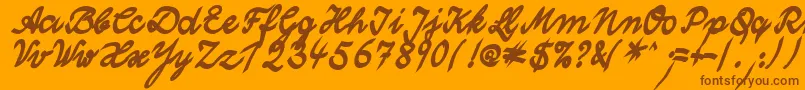 WolgastTwoBoldCyr Font – Brown Fonts on Orange Background
