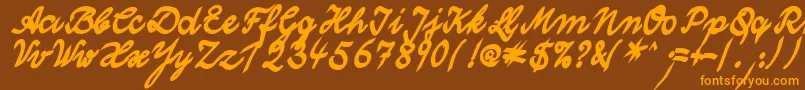WolgastTwoBoldCyr Font – Orange Fonts on Brown Background