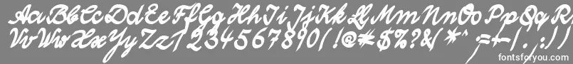 WolgastTwoBoldCyr-Schriftart – Weiße Schriften auf grauem Hintergrund