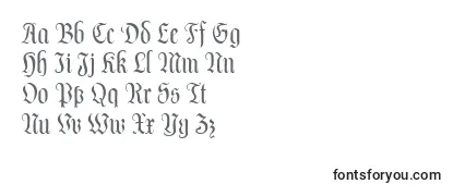 Review of the DalaLtText Font