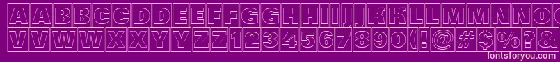 Grotic6 Font – Pink Fonts on Purple Background