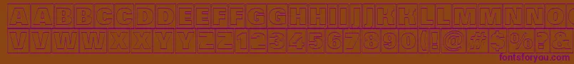 Grotic6 Font – Purple Fonts on Brown Background